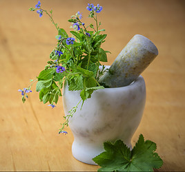 A quartz mortar and pestle filled with green leaves and small purple flowers on a wooden surface with green leaves next to it. 