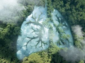 An aerial view of a green forest with an image imprinted in the trees that is in the shape of the lungs. The lung imprint is made of clouds.