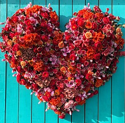 A heart shape made out of red and pink flowers against a teal wooden background.