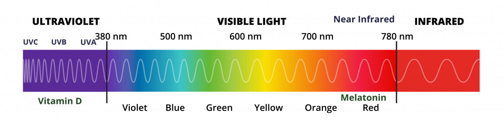 A long horizontal rectangle of the light spectrum with all colors of the rainbow going across it and the words ultraviolet, visible light, and infrared going from left to right at the top.