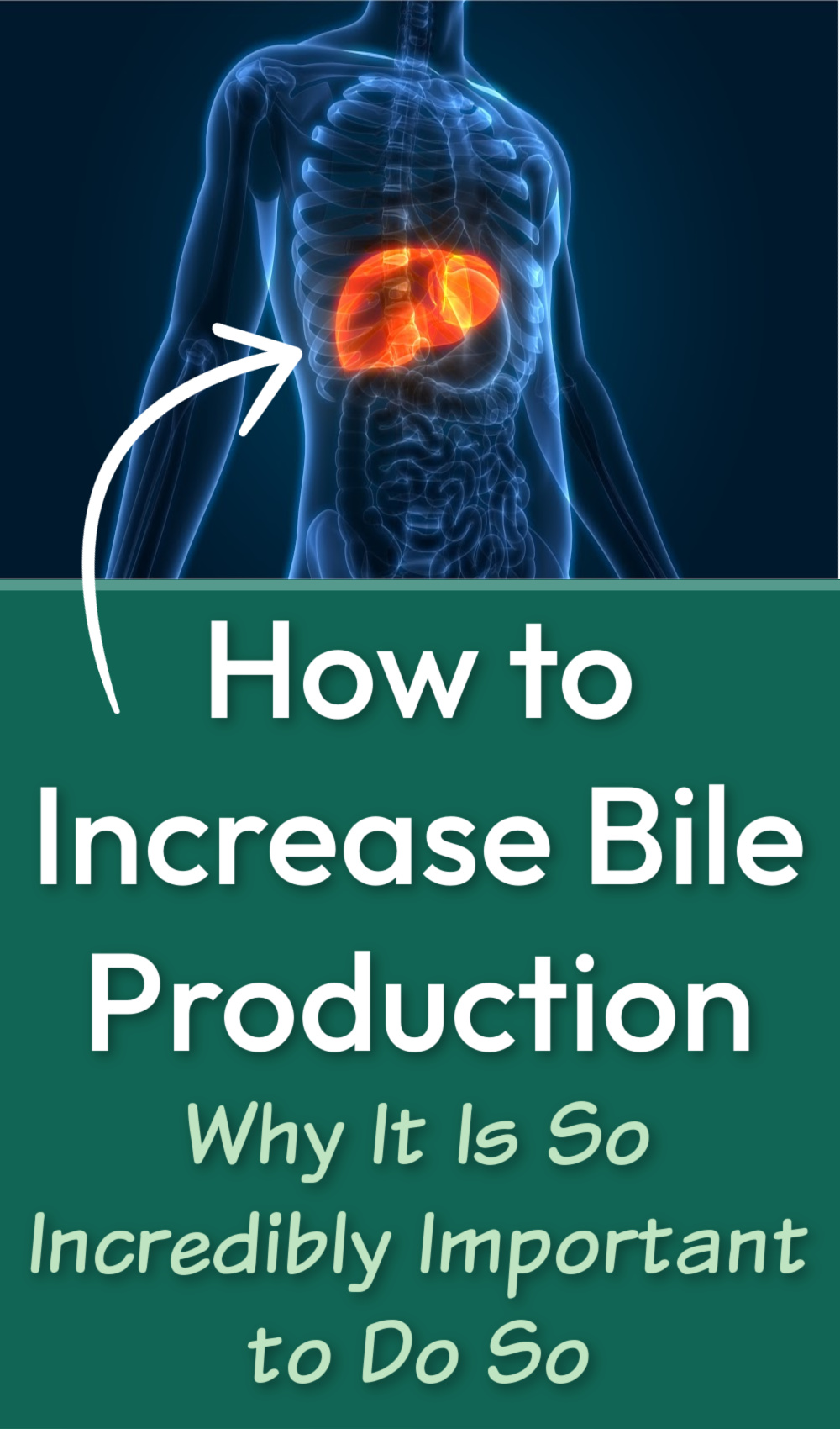 How to Increase Bile Flow and Why It Is So Important to Do So