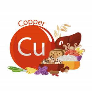 A cartoon of high copper foods such as grains and seafood next to a circle with the copper symbol C-U in it and the word copper written above. 