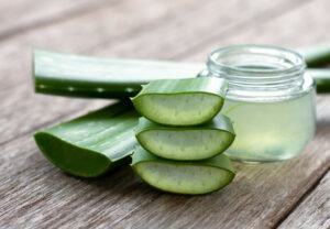 A jar of aloe vera juice with sliced aloe plant stems next to it.