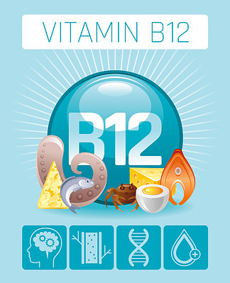 An illustration of high vitamin B12 foods and images representing its main functions.