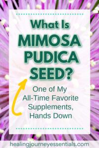 What is mimosa pudica seed? One of my all-time favorite supplements, hands down