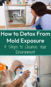 How to detox from mold exposure: 4 steps to cleanse your environment. 