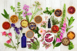 A collection of herbs with essential oil bottles.