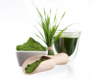 A glass of green juice, bowl of green juice powder, and scoop full of green juice powder with fresh wheat grass.