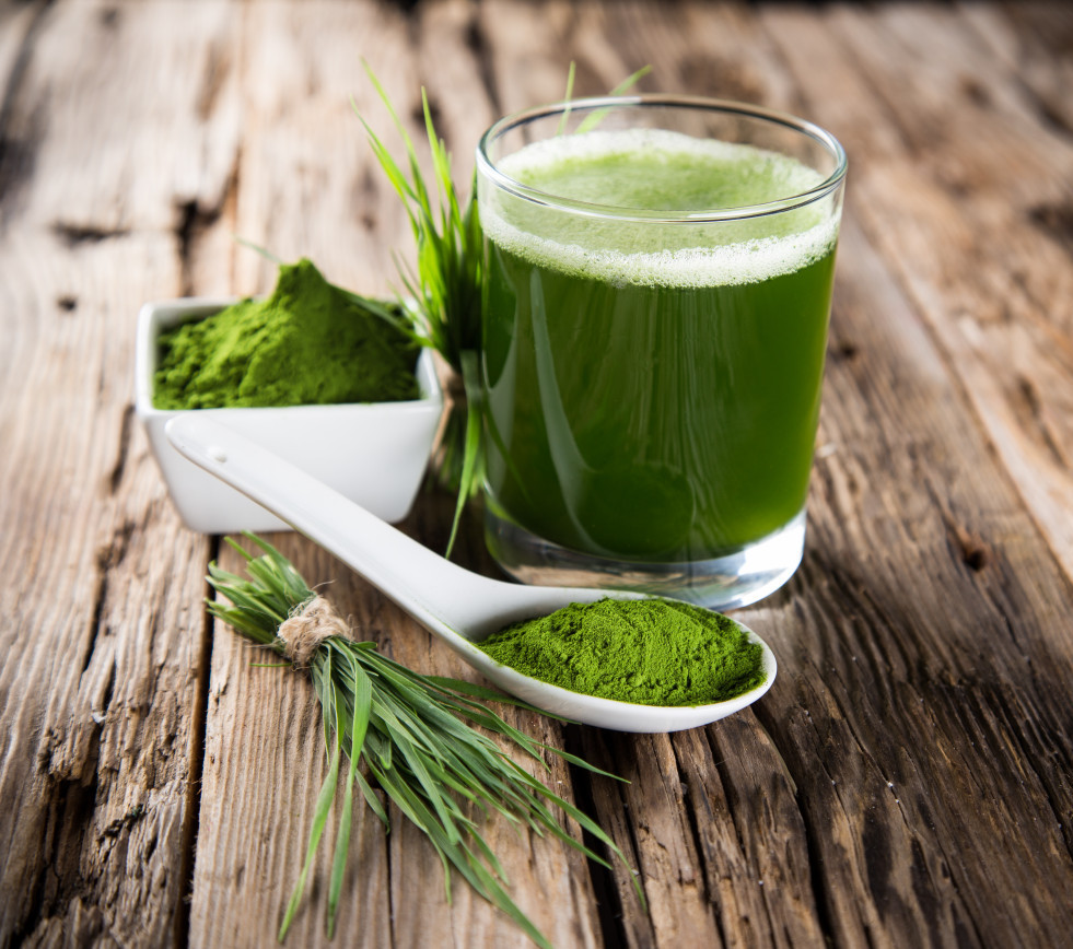 the-best-green-juice-powder-for-quick-easy-daily-nutrients