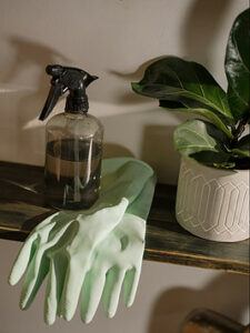 A spray bottle with mold cleaner in it resting on rubber gloves next to a house plant. 