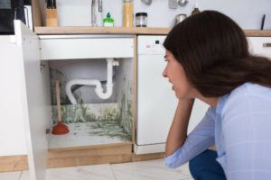 A woman finding mold under her sink.