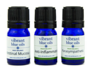 Vibrant Blue Oils Gut Repair Kit. 