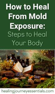 How to heal from mold exposure: steps to heal your body. 