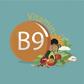 A cartoon of high folate foods with vitamin B9 written in a circle.