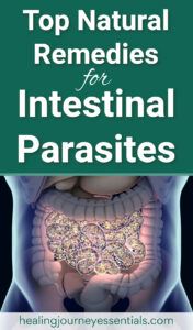 Top natural remedies for intestinal parasites. 