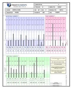 An example of a Hair Tissue Mineral Analysis test result.