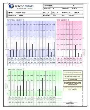 A sample Hair Tissue Mineral Analysis report.