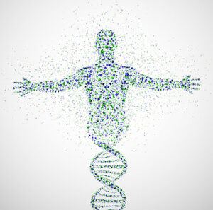 A strand of DNA that transforms into the form of a man.