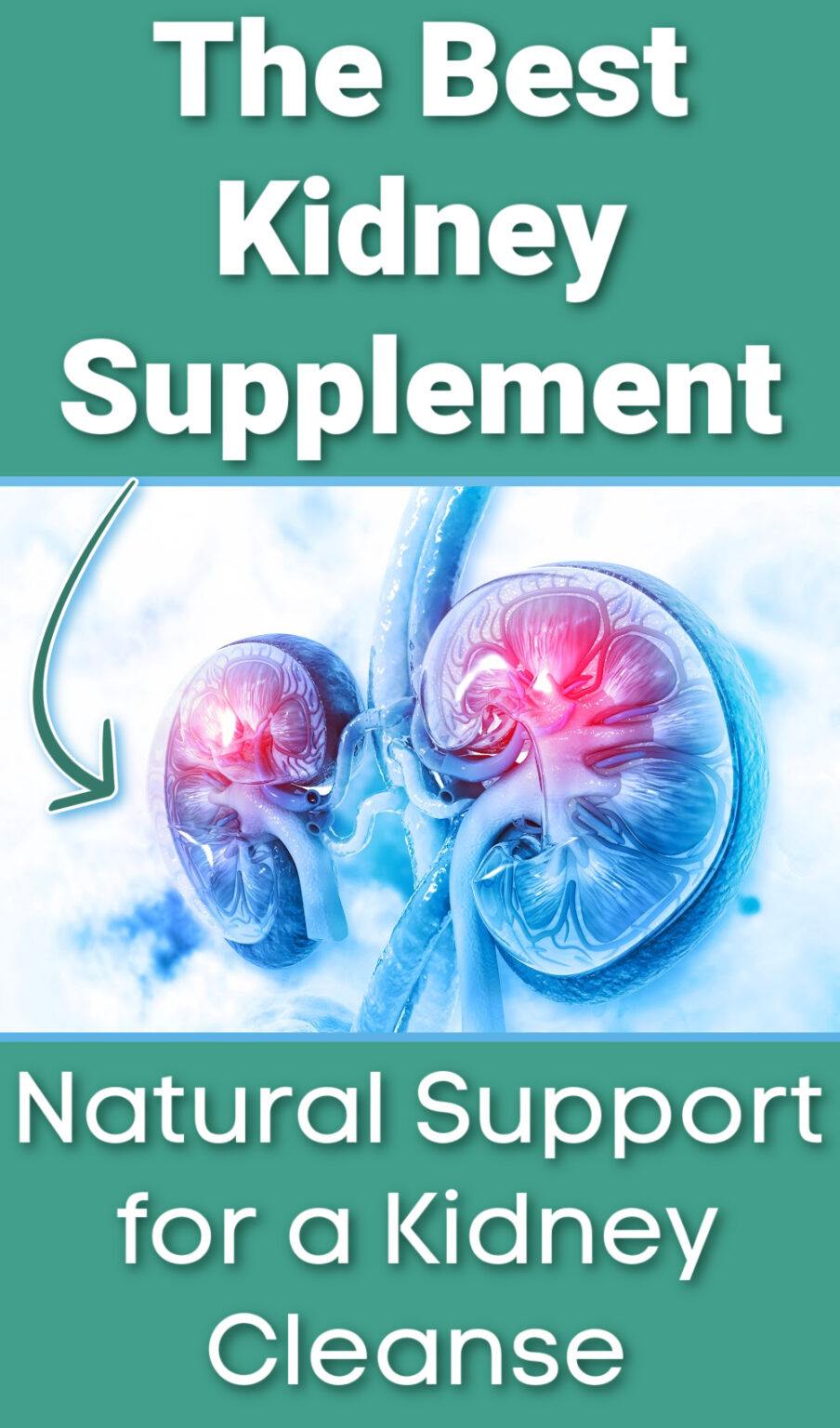 The 3 Best Kidney Support Supplements for Optimal Kidney Function