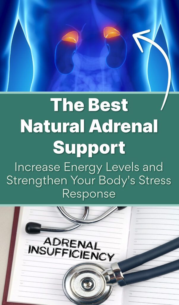 Natural Adrenal Gland Support for a Healthy Stress Response